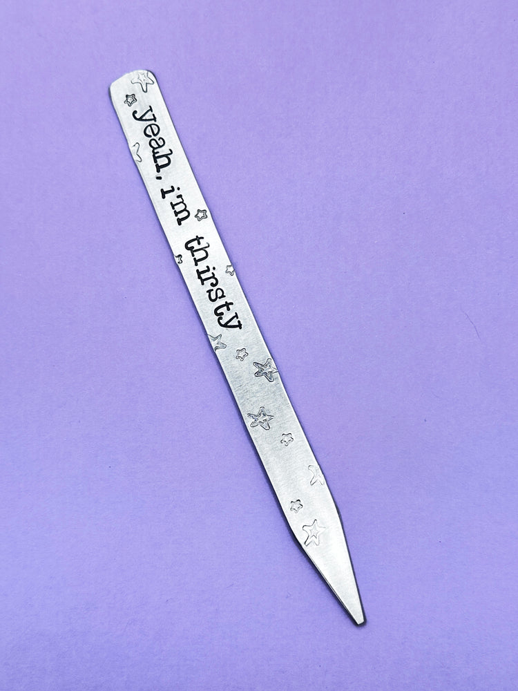 Plant Marker Hope On The Stage Yeah, I'm Thirsty Hobi Inspired