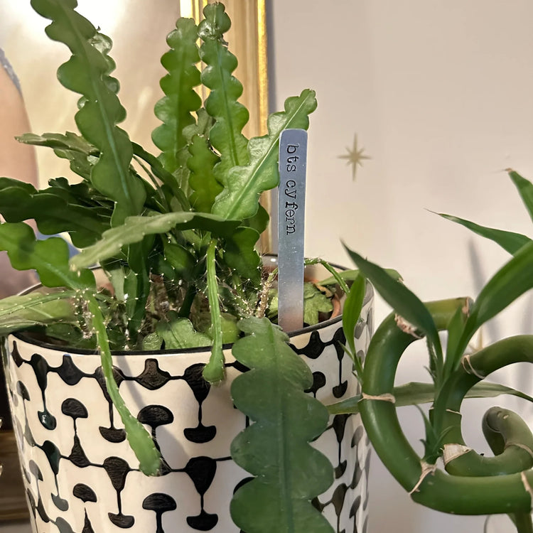 Plant Marker Hope On The Stage Yeah, I'm Thirsty Hobi Inspired