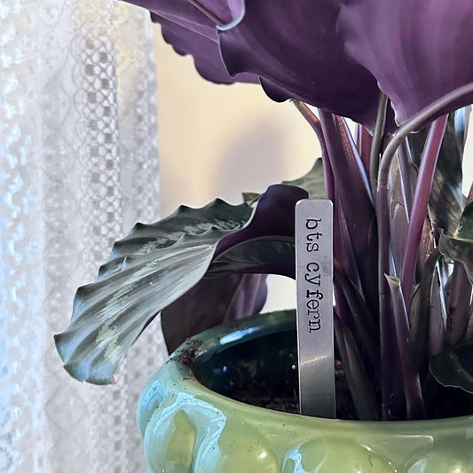 Custom Hand Stamped Plant Stake Garden Marker Funny Puns Plant Lover Gift